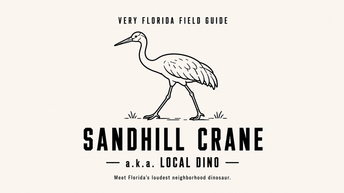 Sandhill Crane