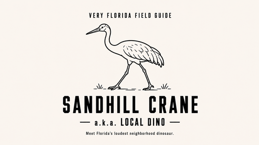 Sandhill Crane