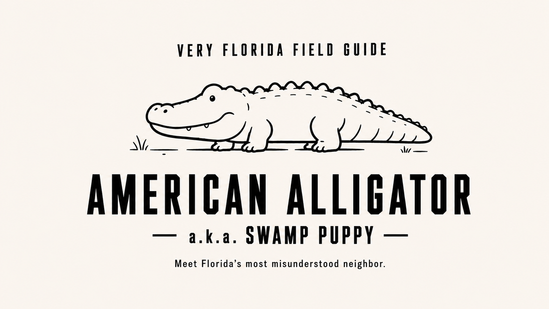 Swamp Puppy