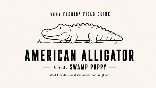 Swamp Puppy