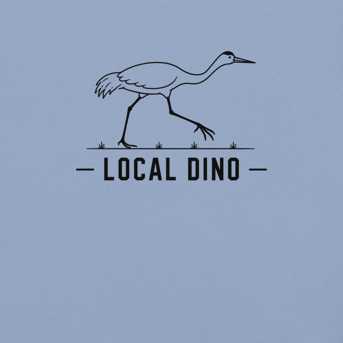 Local Dino Florida sandhill crane graphic in washed denim