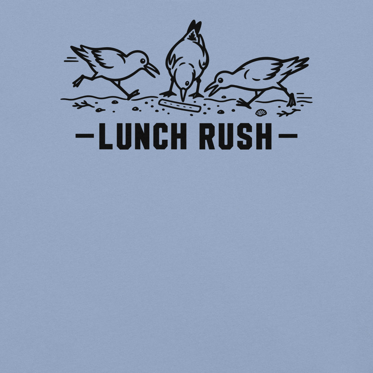 Lunch Rush Florida seagull graphic in washed denim