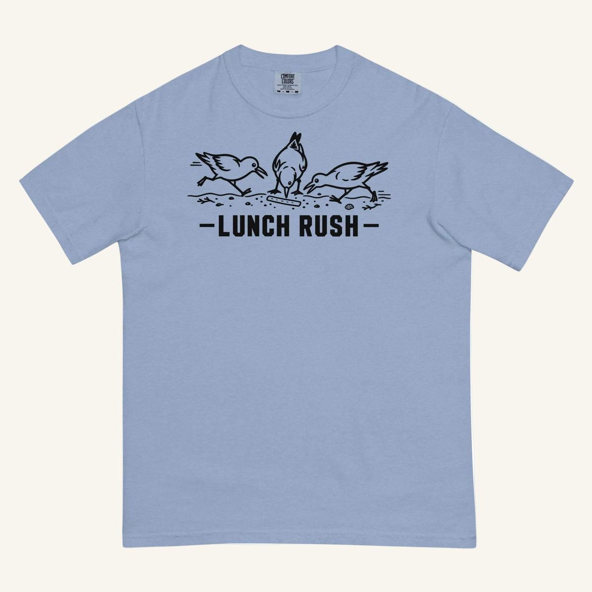 Lunch Rush Florida seagull graphic t-shirt in washed denim