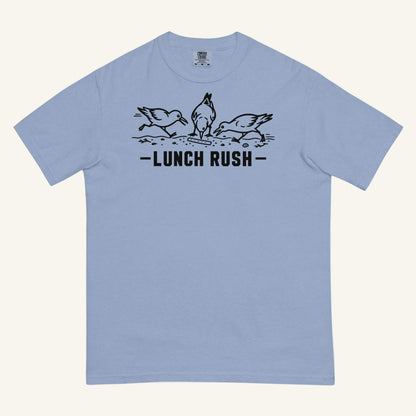 Lunch Rush Florida seagull graphic t-shirt in washed denim