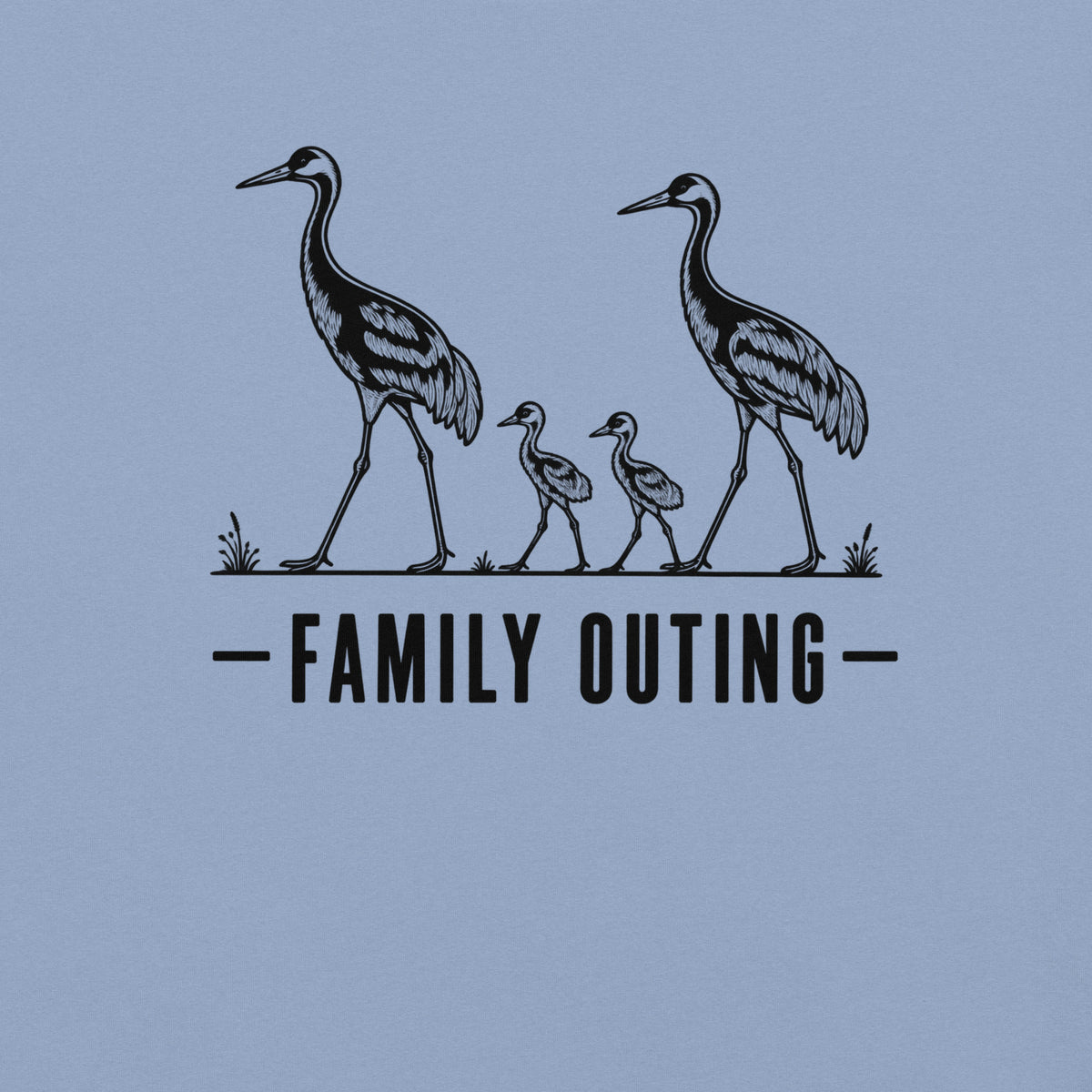 Family Outing Florida sandhill crane graphic in washed denim